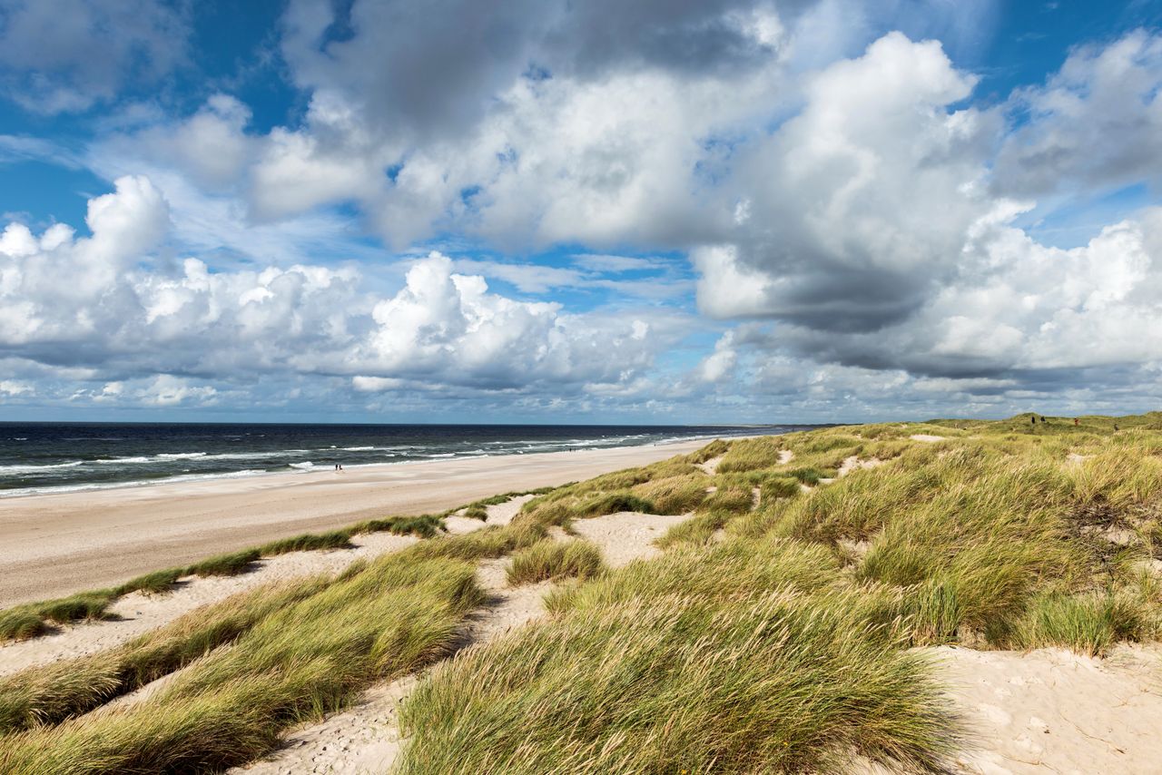 De levenskwaliteit aan de Belgische kust daarom willen zoveel mensen hier wonen_SEYS Vastgoed